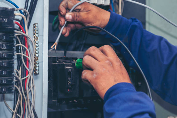 Best Electrical Troubleshooting Services  in Chebanse, IL