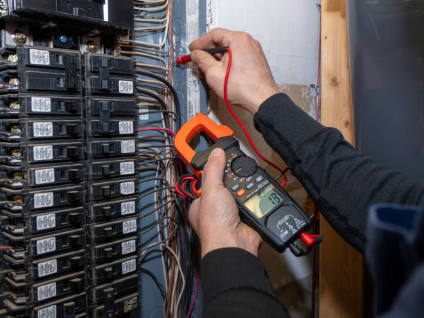 Best Ceiling Fan Installation Electrician  in Chebanse, IL